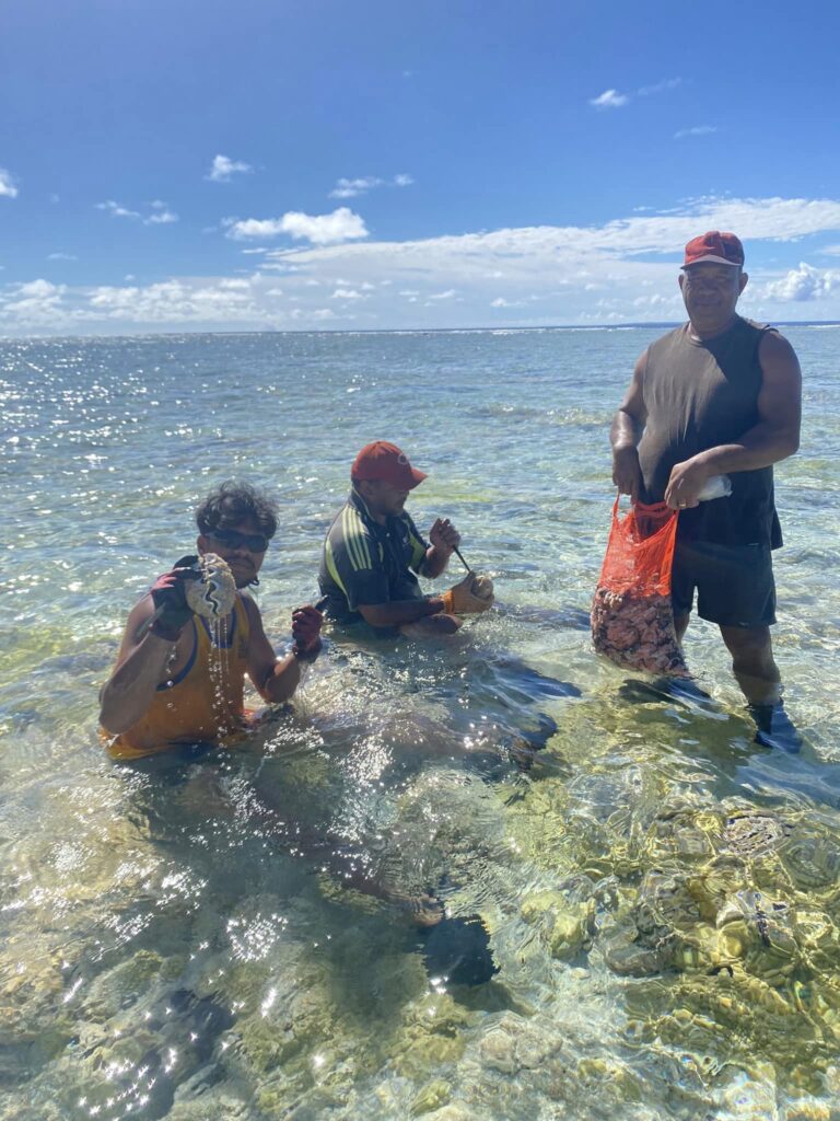 Paua, a sought-after sea delicacy, being harvested on Takutea – a small uninhabited island just 20 kilometres (13 miles) north west of Atiu. SUPPLIED/23020908