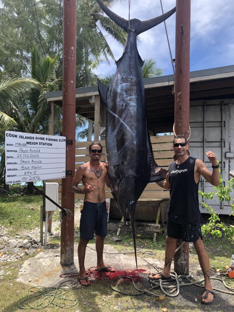 Local fishermen Pauro Arnold and Kahiki Tehaamatai with a monster blue marlin 274.5 kilogram. 23022619