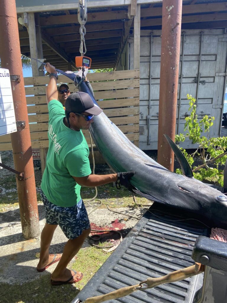 Manakia III’s Paku Poila weighing in his 90-kilogram blue marlin on Saturday. CIGFC/23022706