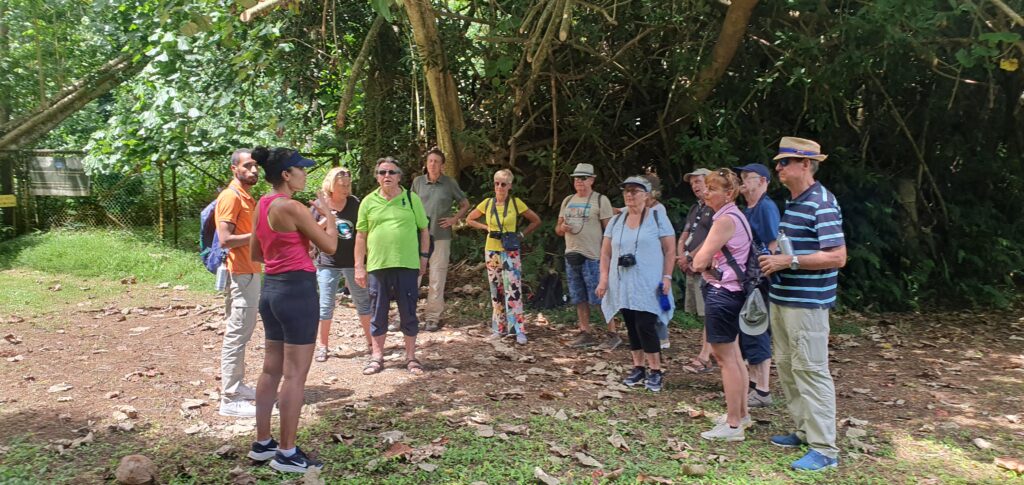 Sieni Tiraa, sustainable tourism advocate, takes MSC Magnifica passengers for a look at the Takitumu Conservation Area.  23030310
