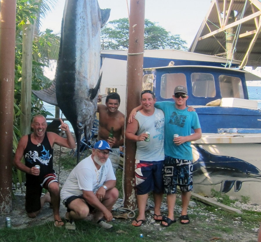 Monster marlin weighs in at 223kg