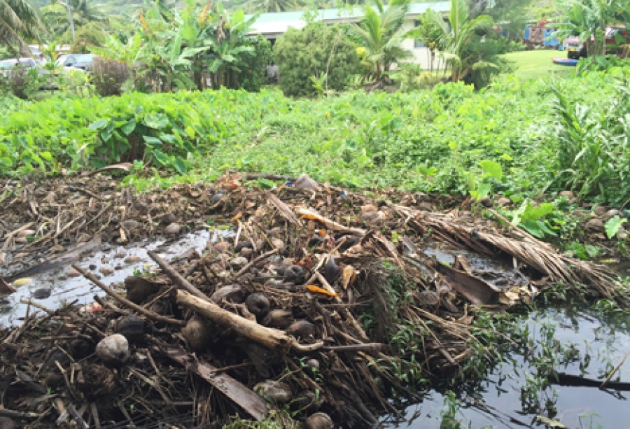 Taro patches hit by flooding issue