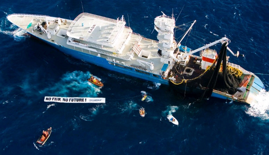 Huge vessel blamed for overfishing