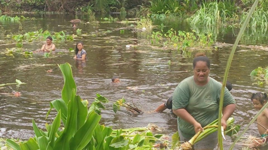 Floods wreck island’s food source
