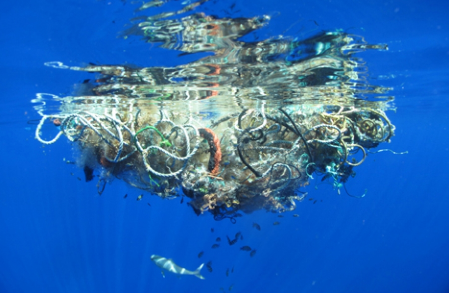 Plastic debris set to outnumber fish