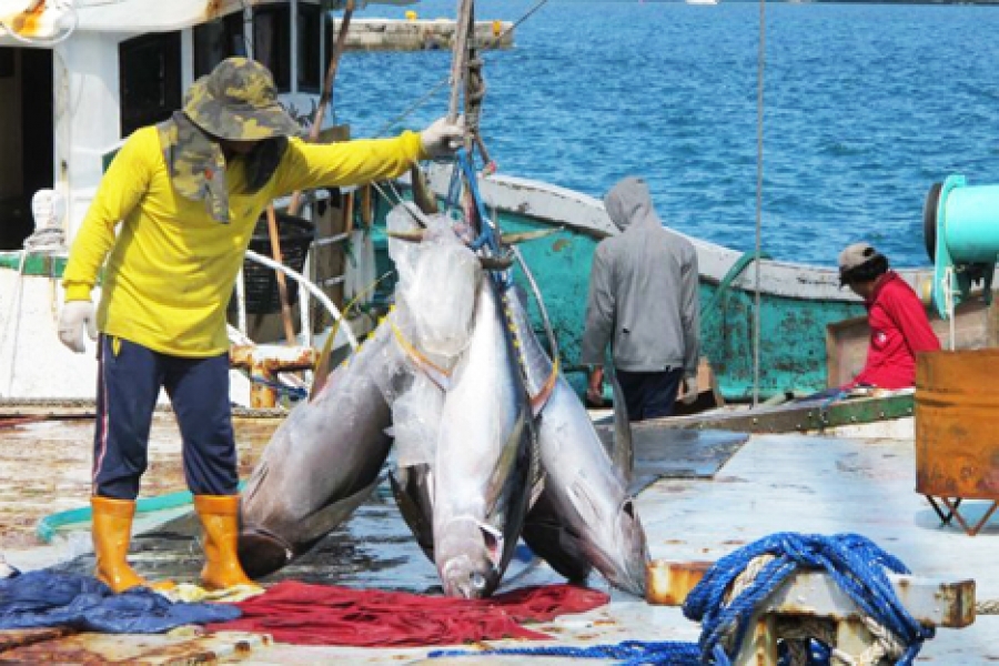 US stance on fishing could hit economy
