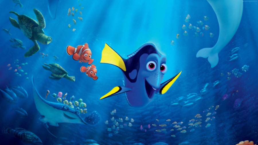 Finding Dory amidst the political chaos