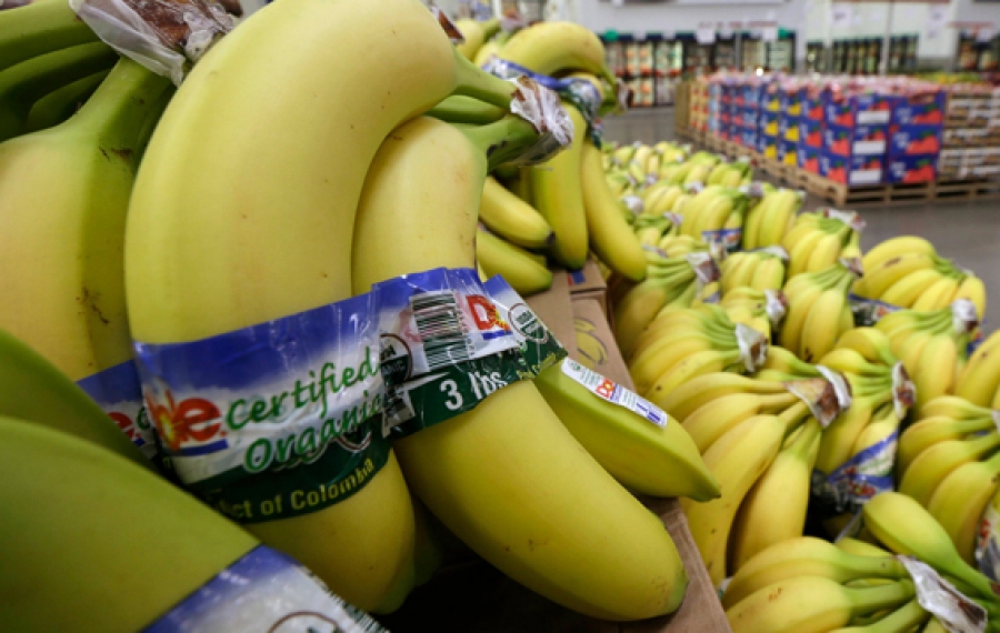 Deadly banana virus spreads