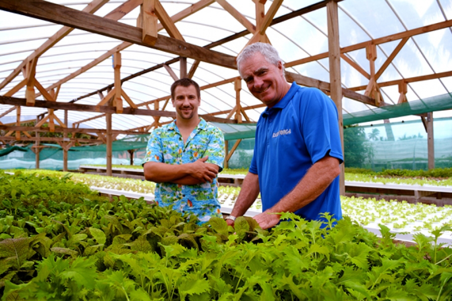 From top island job to vegetable grower