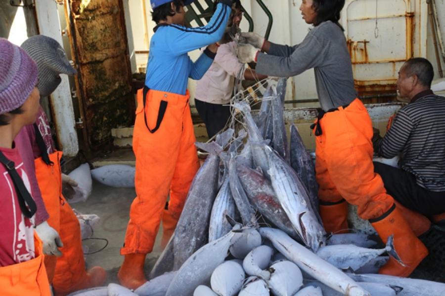 Tuna quota system first in Pacific