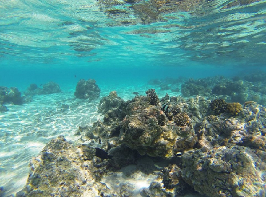 Aitutaki supports plan to help lagoon