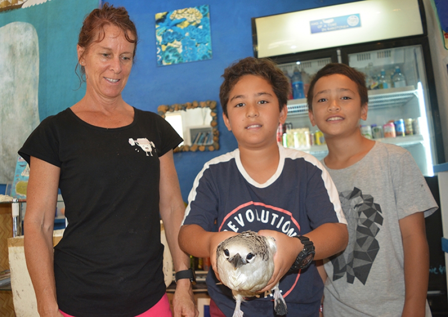 Youngsters lend tropic bird a hand