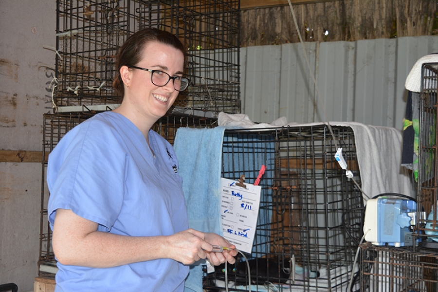 Aussie vet enjoys clinic work
