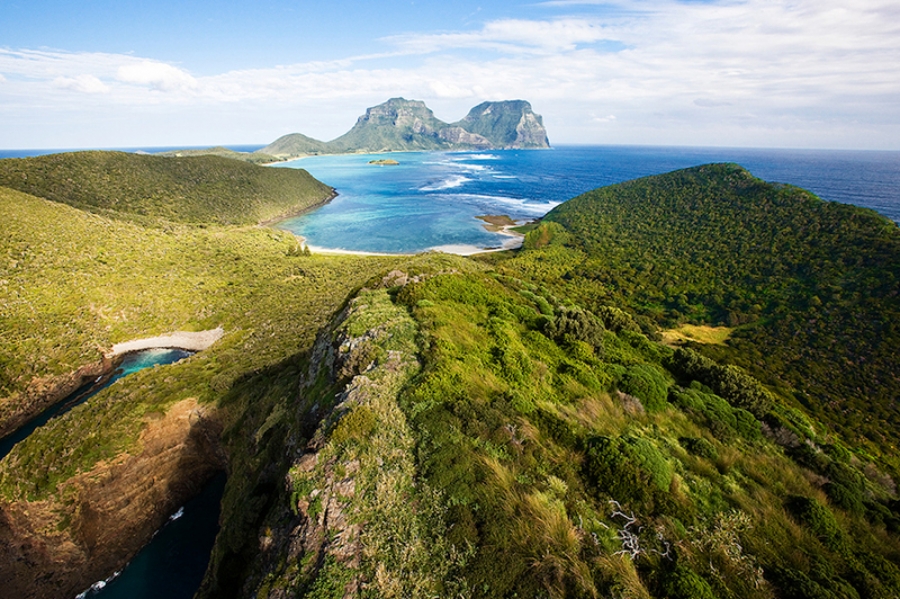 Paradise found – in the Tasman Sea