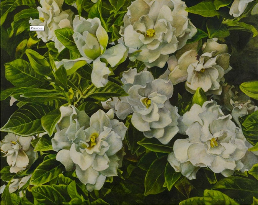 Large scale gardenia works feature at Auckland art fair