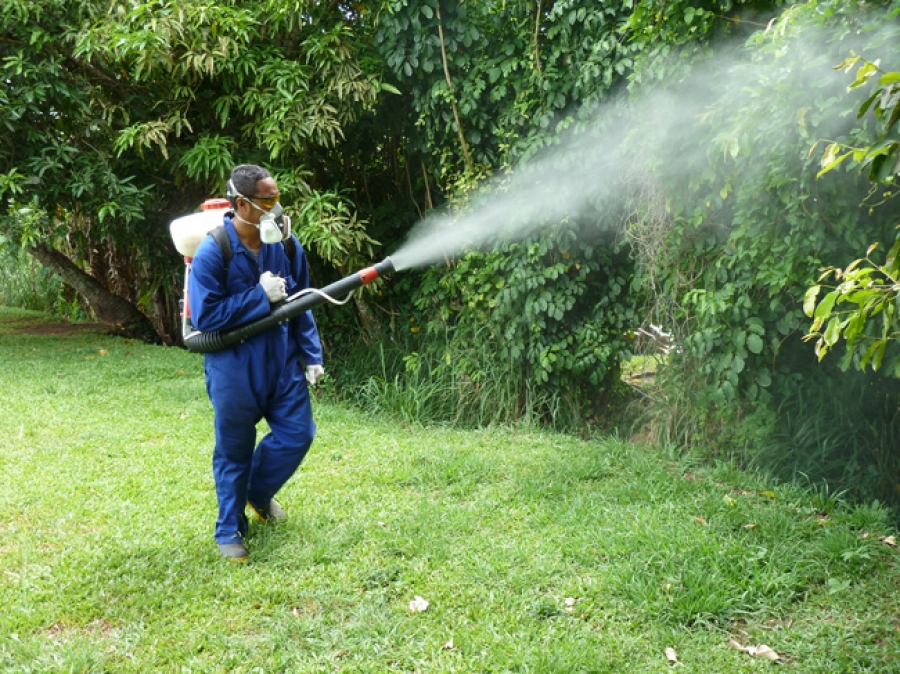 Big clean-up coming to clear dengue fever