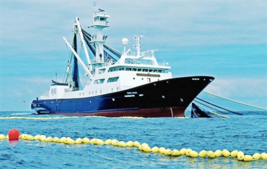 EU purse seine fishing deal extended
