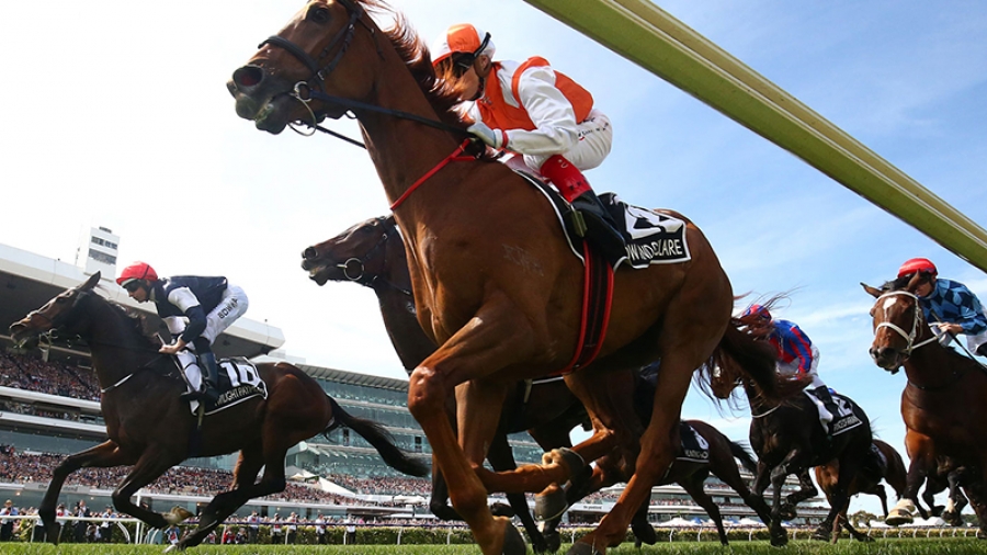 Vow And Declare wins Melbourne Cup thriller