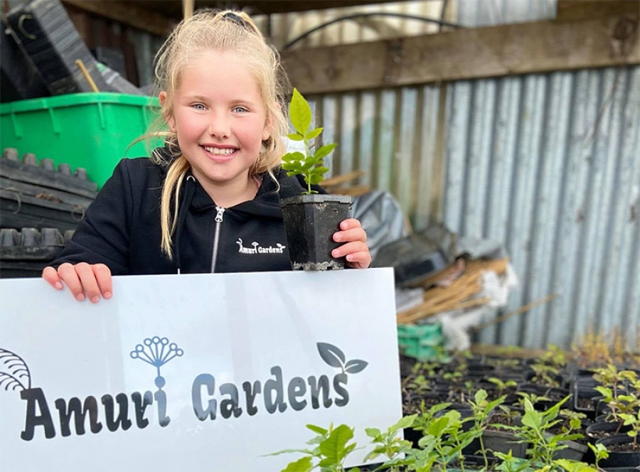 Amuri inspires seedling business in New Zealand