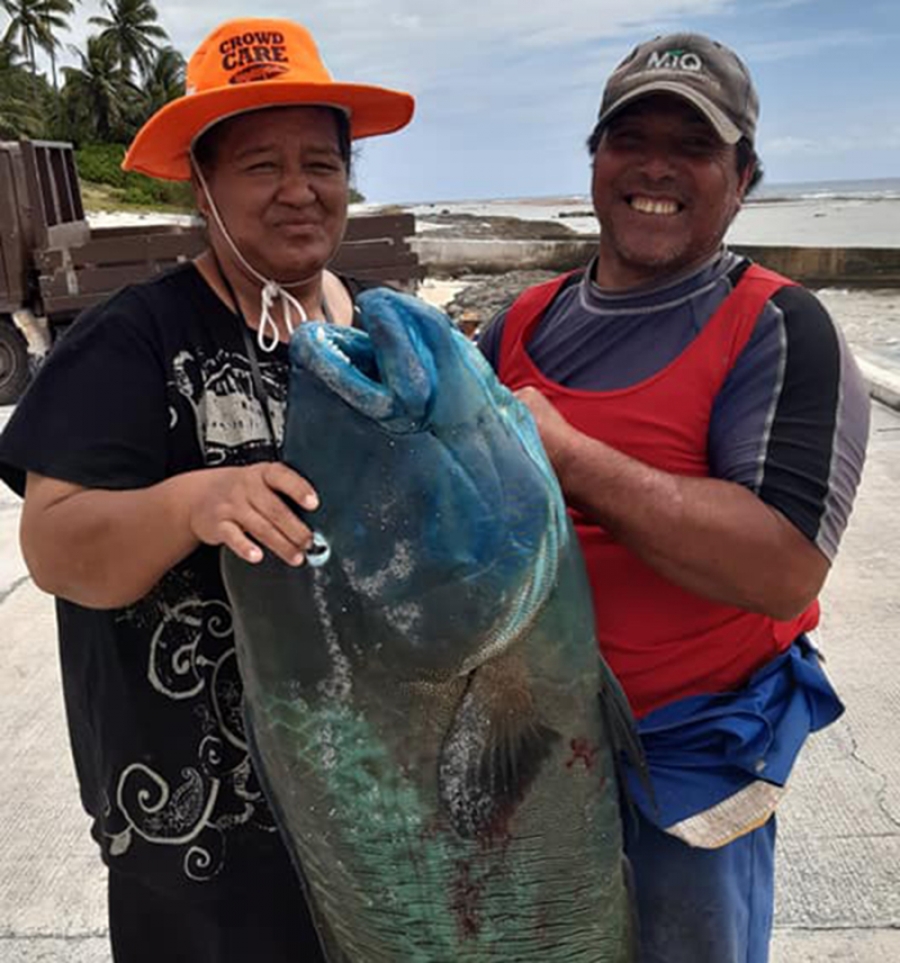 Humpback wrasse helps land top fishing prize