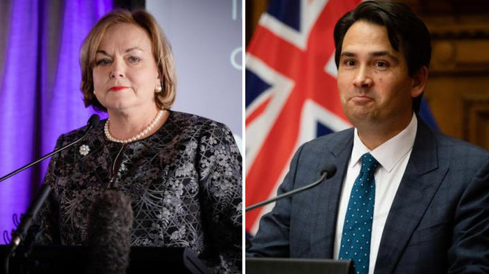 Judith Collins and Simon Bridges should consider leaving Parliament – Christopher Finlayson