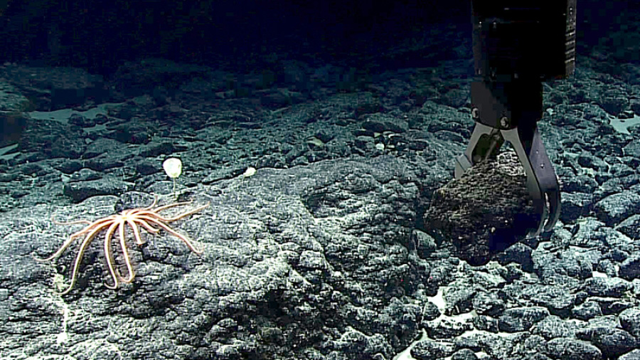OPINION: The greenwashing of deep sea mining