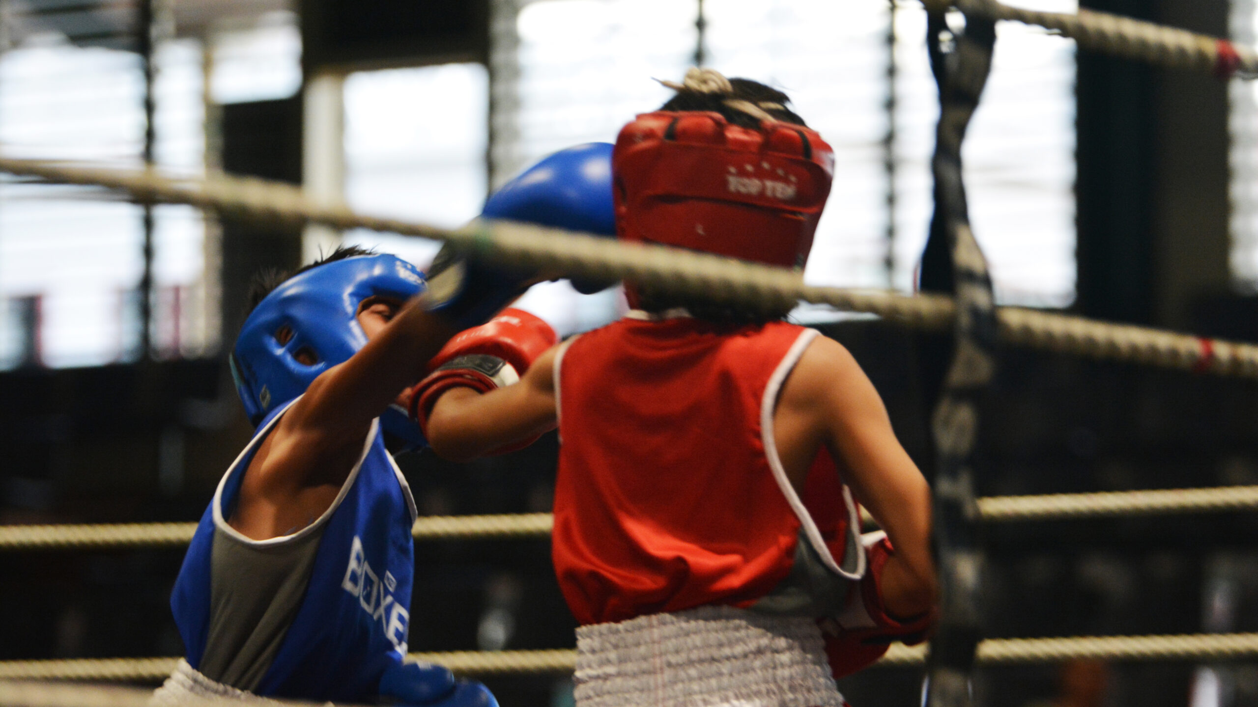 Young boxers showcase talent at amateur fight night