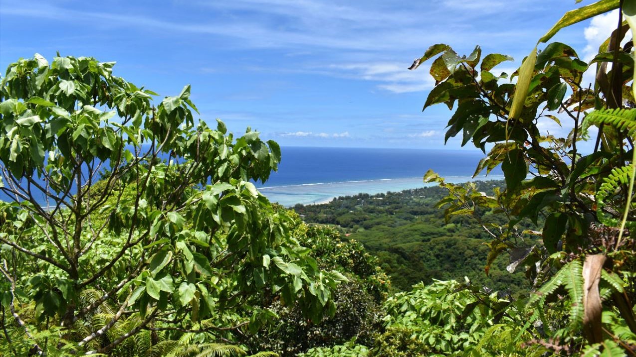 The Takitumu Conservation Area