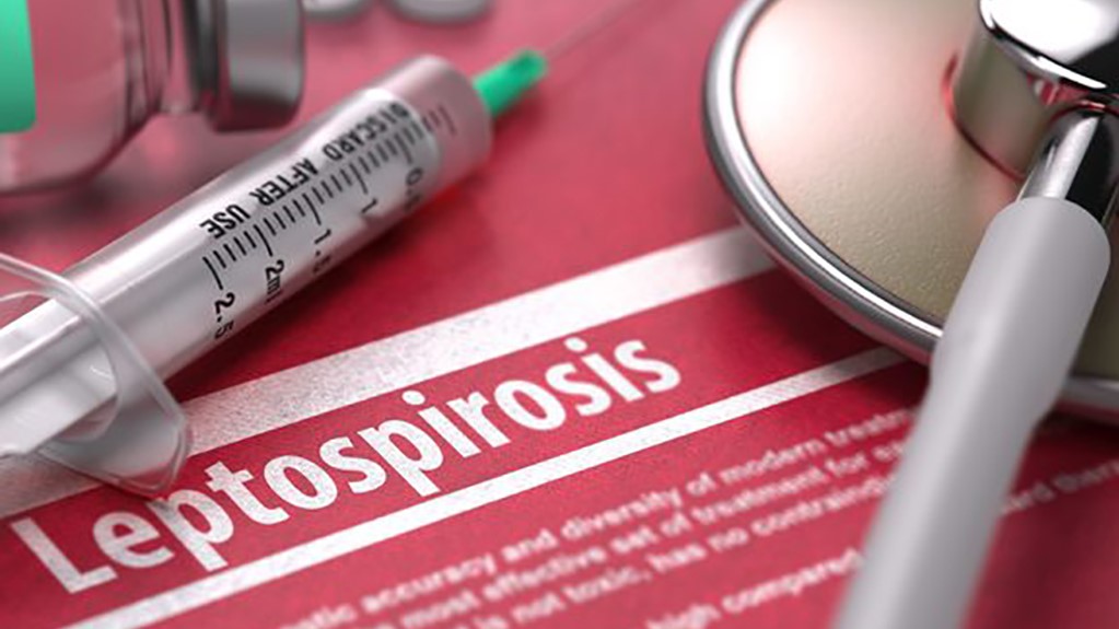 Fiji reports 5 more leptospirosis deaths
