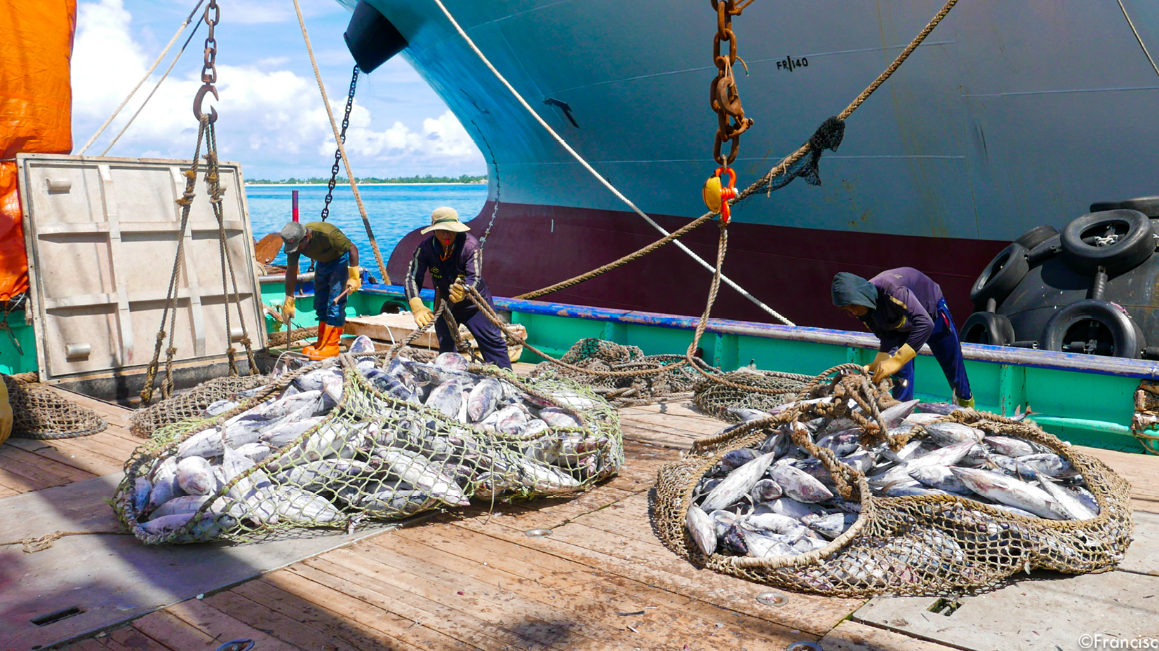 Overfishing – a global problem with significant consequences in the Pacific