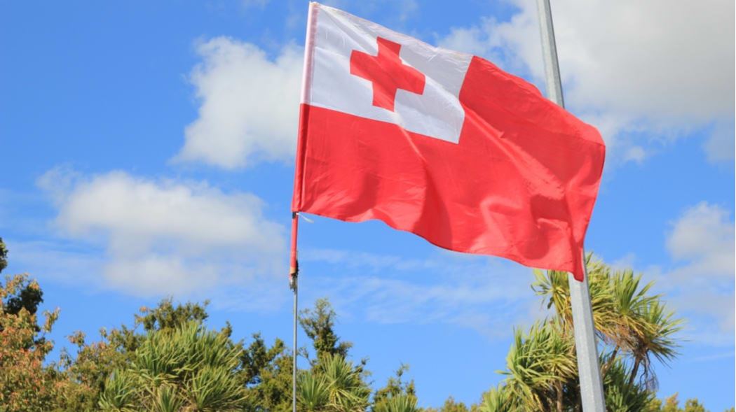 Tonga resumes import tariffs as pandemic subsidies end