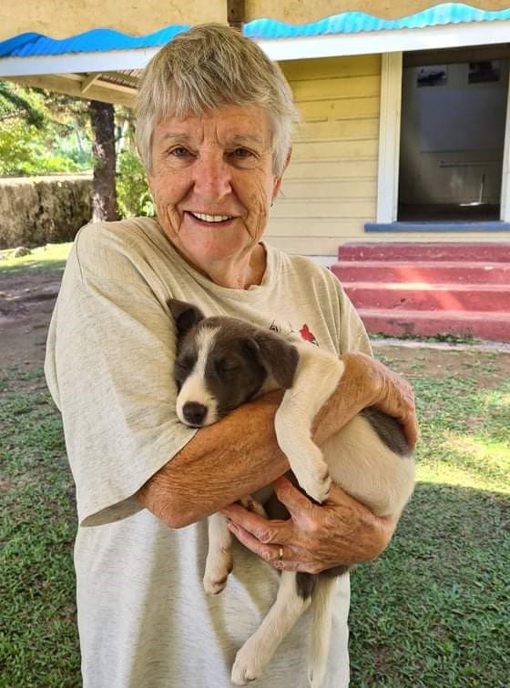 On a mission in Mangaia: Desexing dogs, cats and a goat