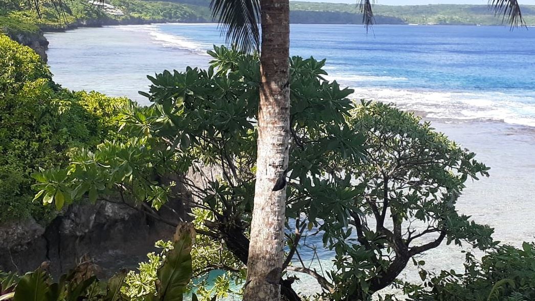 Niue: ‘Dramatic rise’ in Covid-19 community cases