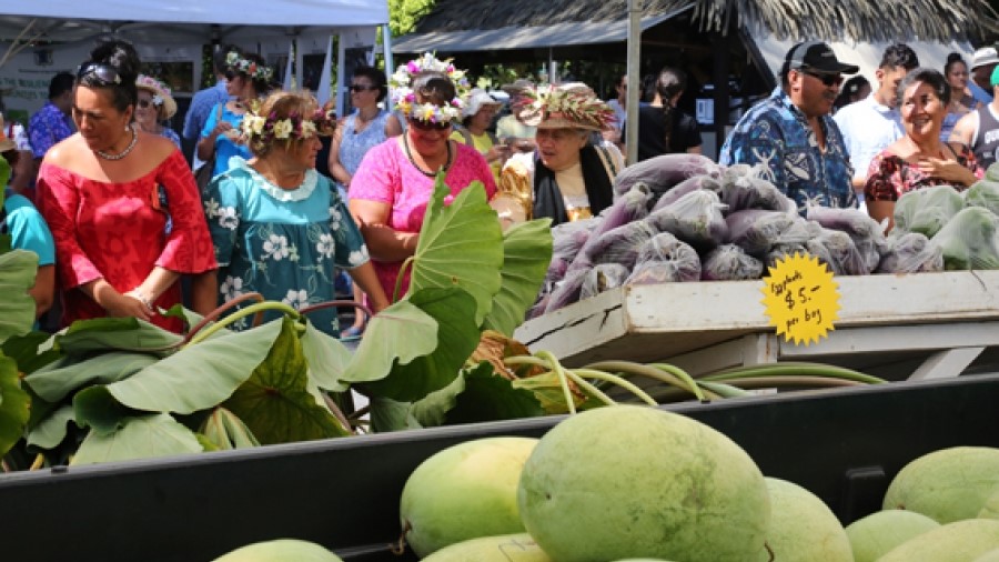 Cook Islands Tourism aims to boost visitor numbers with trade focused campaign