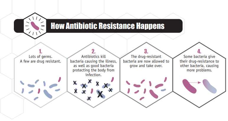 Antibiotics ‘don’t work for viruses’