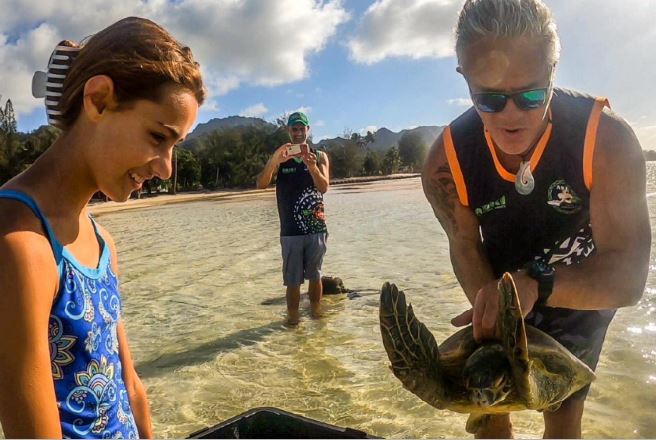 Washed up turtle released after a week in rehab