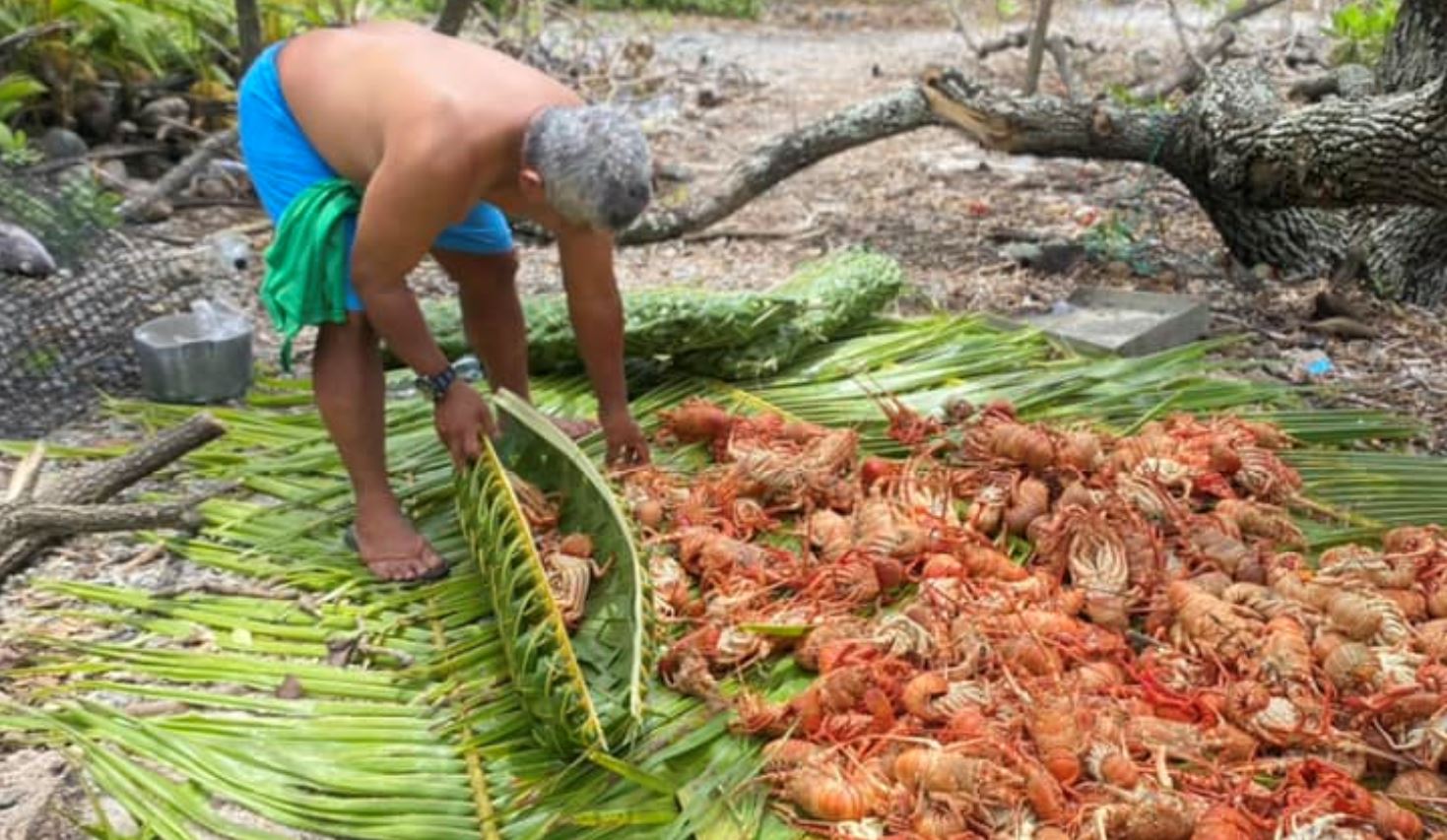‘Seafood rich’ Takutea  harvested and shared amongst Atiu residents