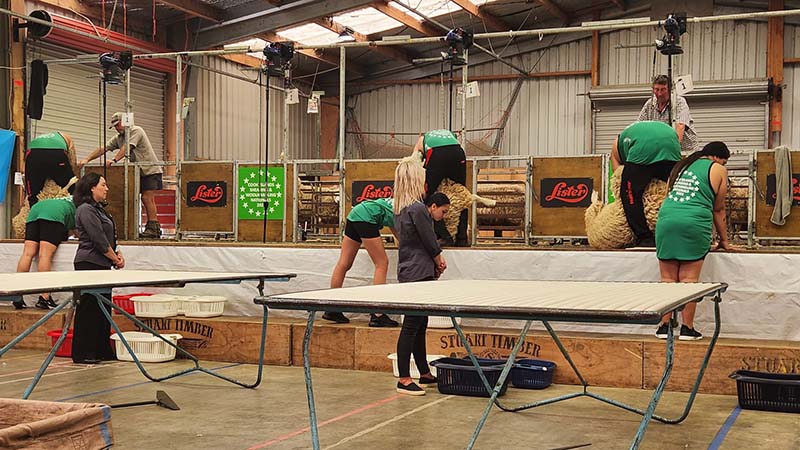 Cook Islands holds first-ever sheep shearing and woolhandling nationals