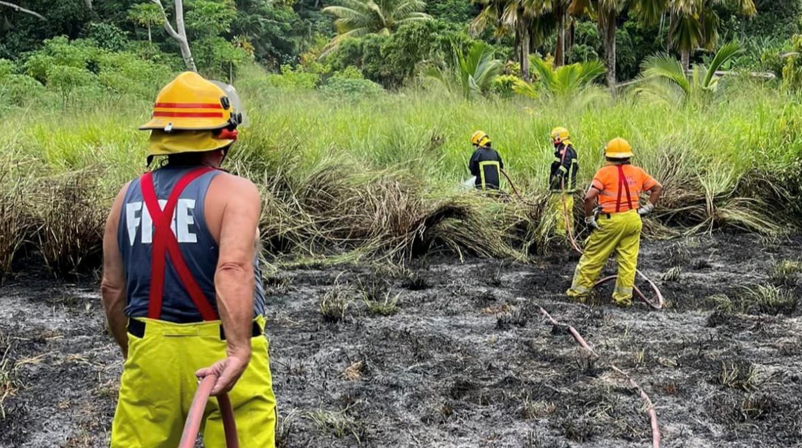Out of control rubbish fires engulf ‘really dry’ Tupapa section