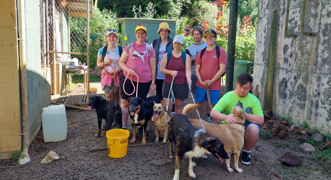 Kiwi youth with disabilities bond with Rarotonga dogs