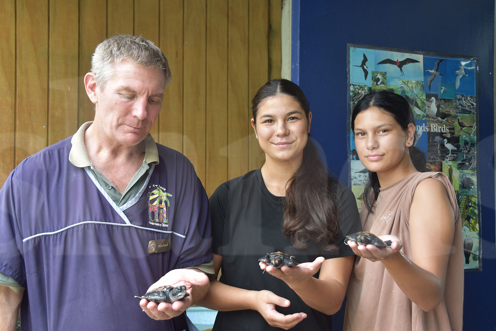 Turtles are not pet material, says Te Are Manu Vet Clinic head