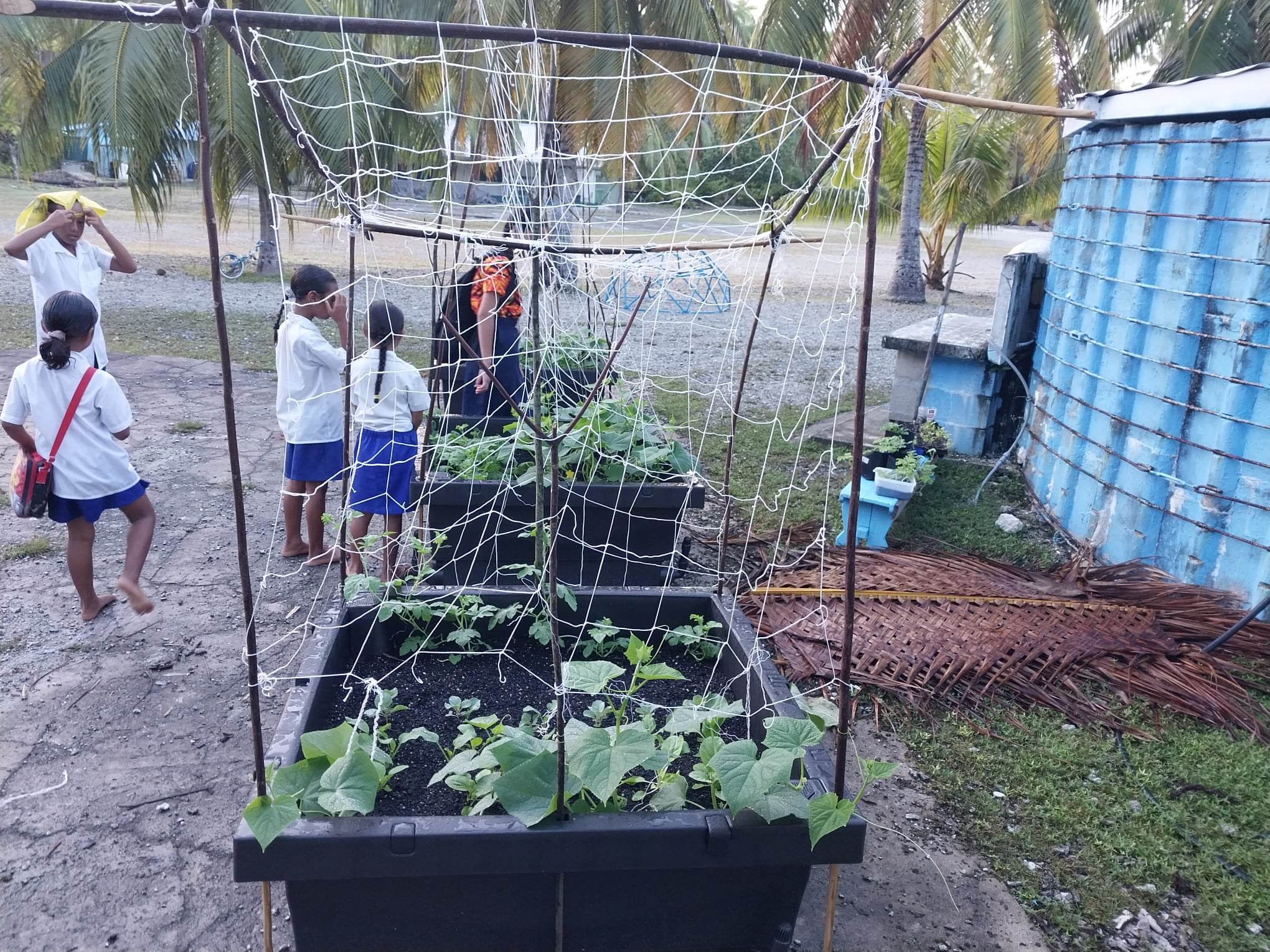 School garden project teaches Rakahanga kids healthy eating
