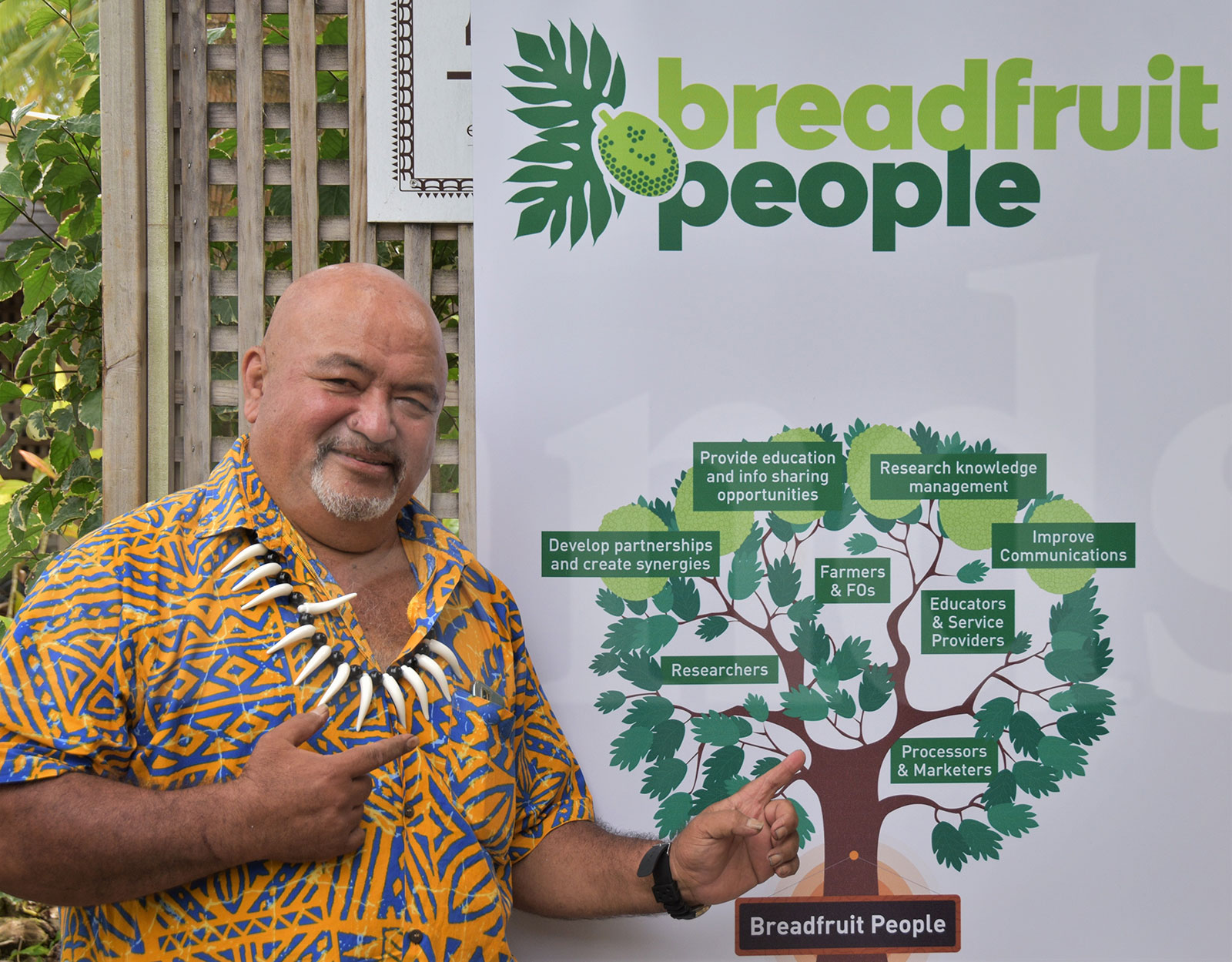 Fresh calls for revival of breadfruit industry