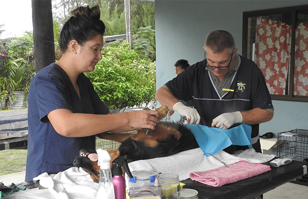 Pet Talk: Aitutaki – A parting gift for Te Are Manu veterinarian