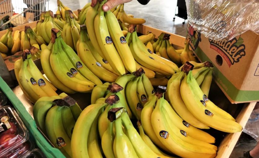 New Zealand’s banana ‘shortage based on seasonal demand’