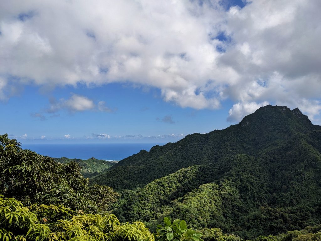 From flycatchers to forests : How the Cook Islands are championing nature