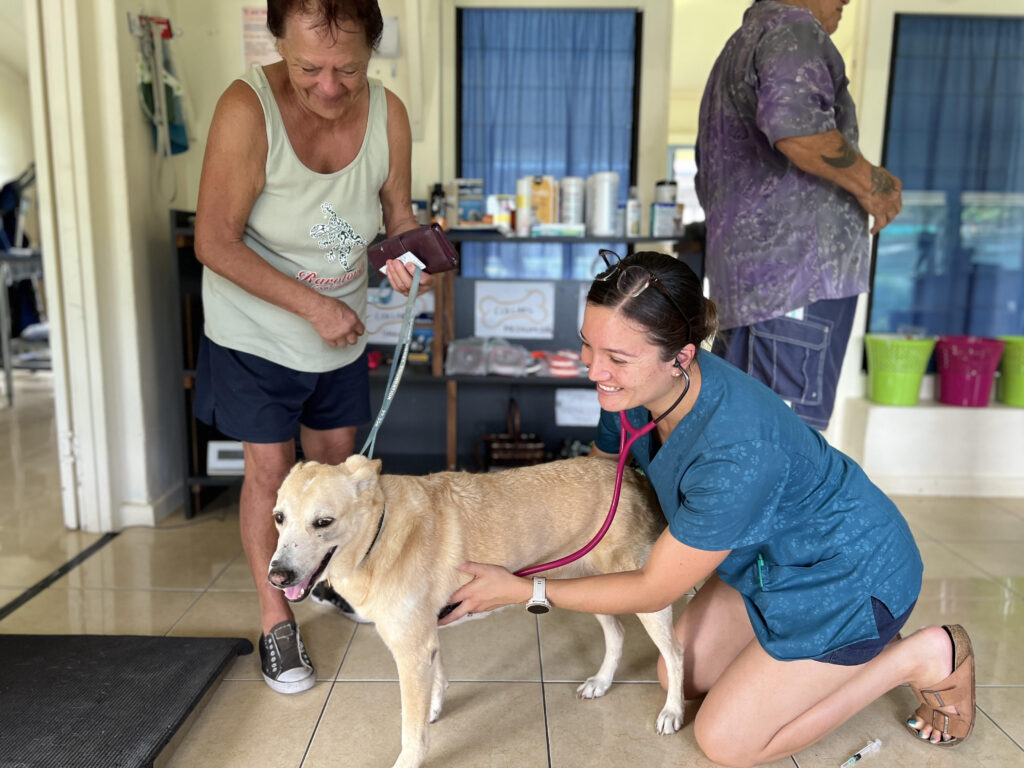New vet Dr Rose hits the ground running in Raro - Cook Islands News