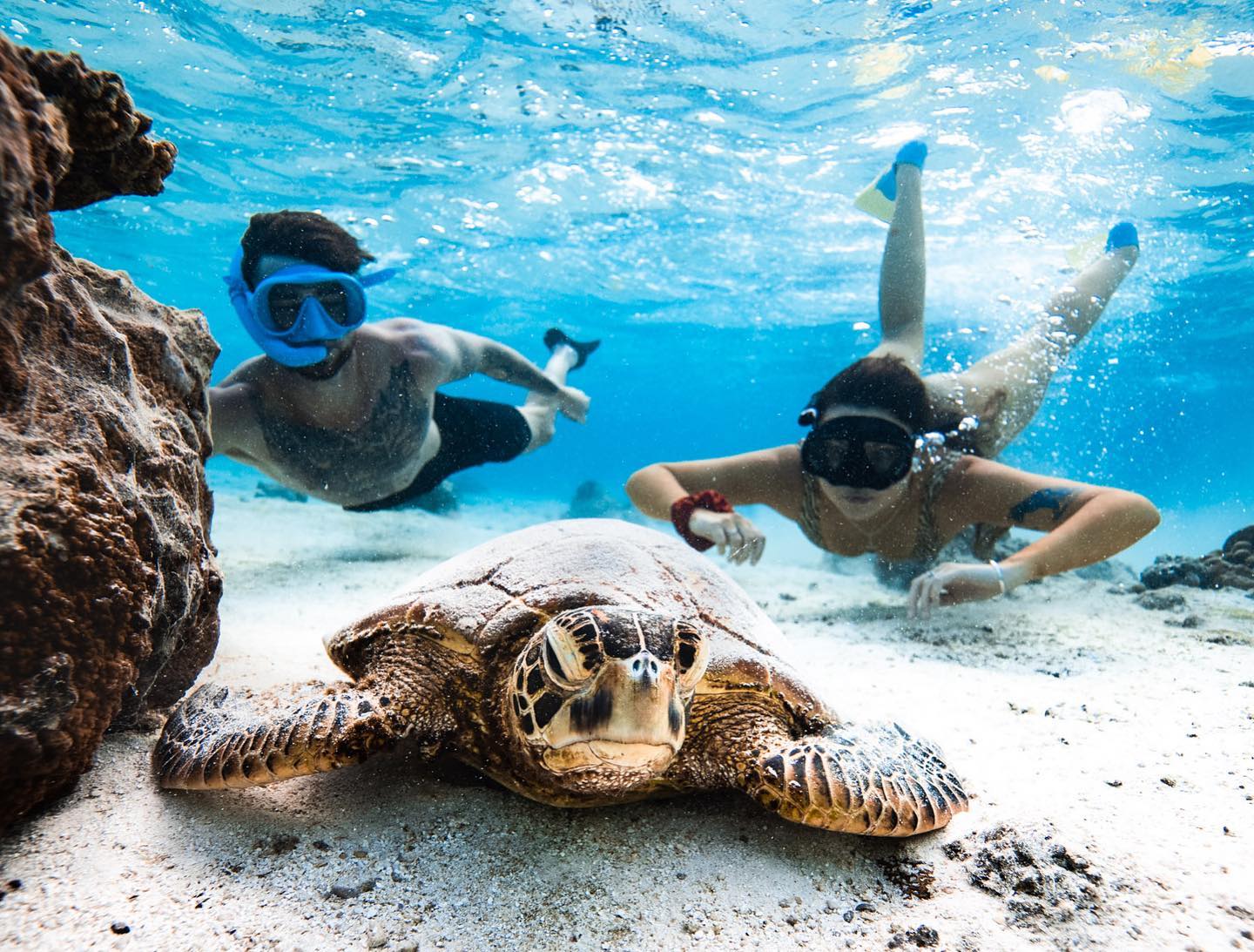 Taking a dive into safety: Turtle tour operators sign MOU to enhance safety and sustainability