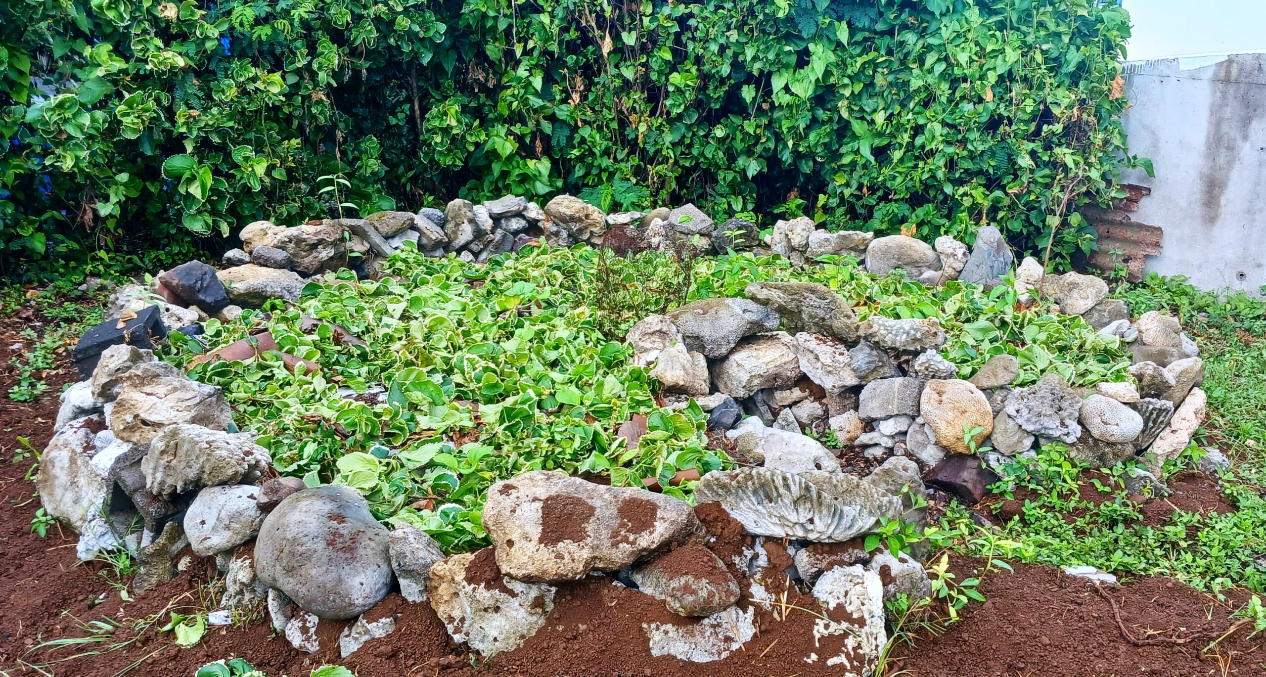 Te Ipukarea Society’s sustainable keyhole garden takes root
