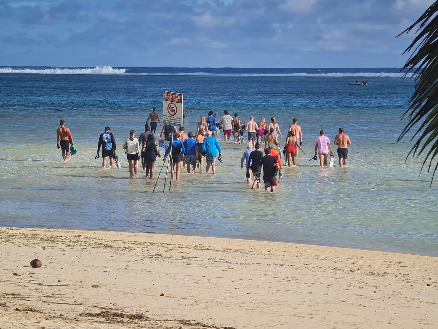 NES selects consultant to develop sea  turtle conservation plan for Rarotonga